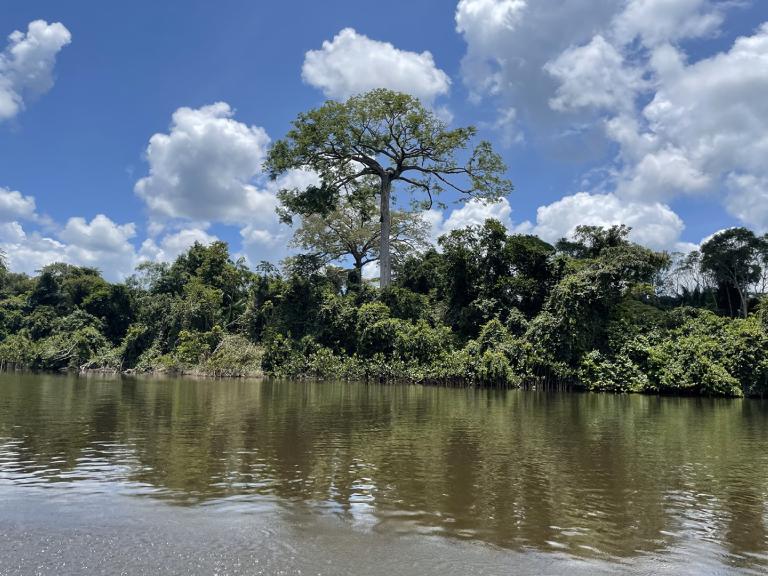Suriname